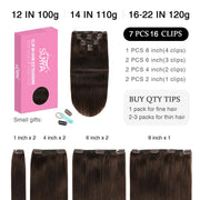 Darkest Brown (#2) Clip In Hair Extensions