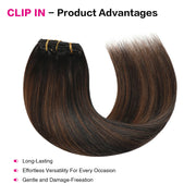 Natural Black / Chestnut Brown Balayage (#P1B/6/T1B) Clip In Hair Extensions