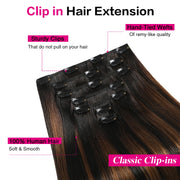 Natural Black / Chestnut Brown Balayage (#P1B/6/T1B) Clip In Hair Extensions
