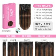 Natural Black / Chestnut Brown Balayage (#P1B/6/T1B) Clip In Hair Extensions