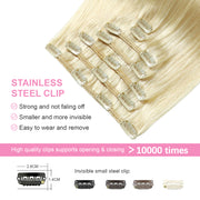 Platinum Blonde (#60) Clip In Hair Extensions